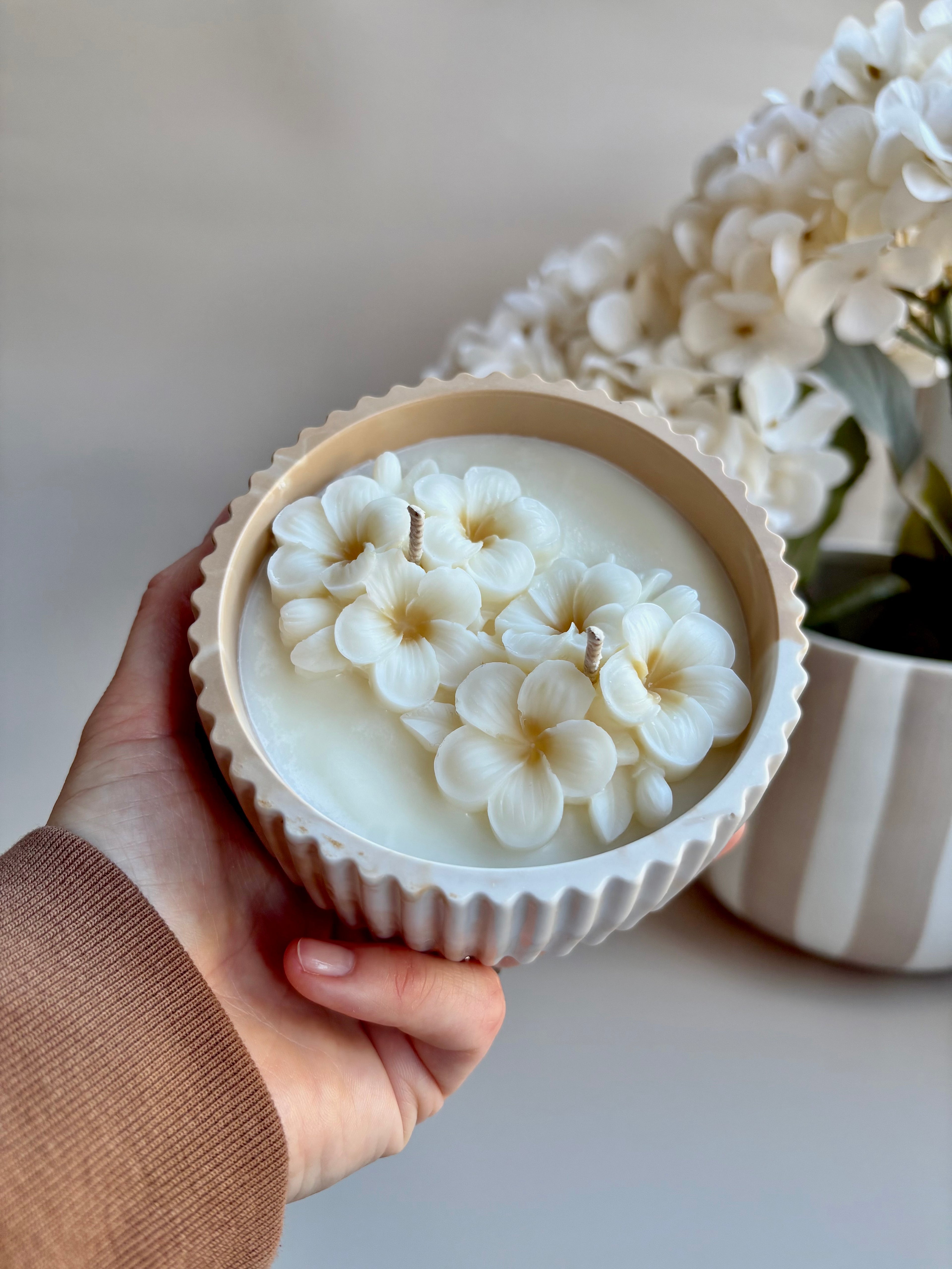 The Vanilla Bloom.