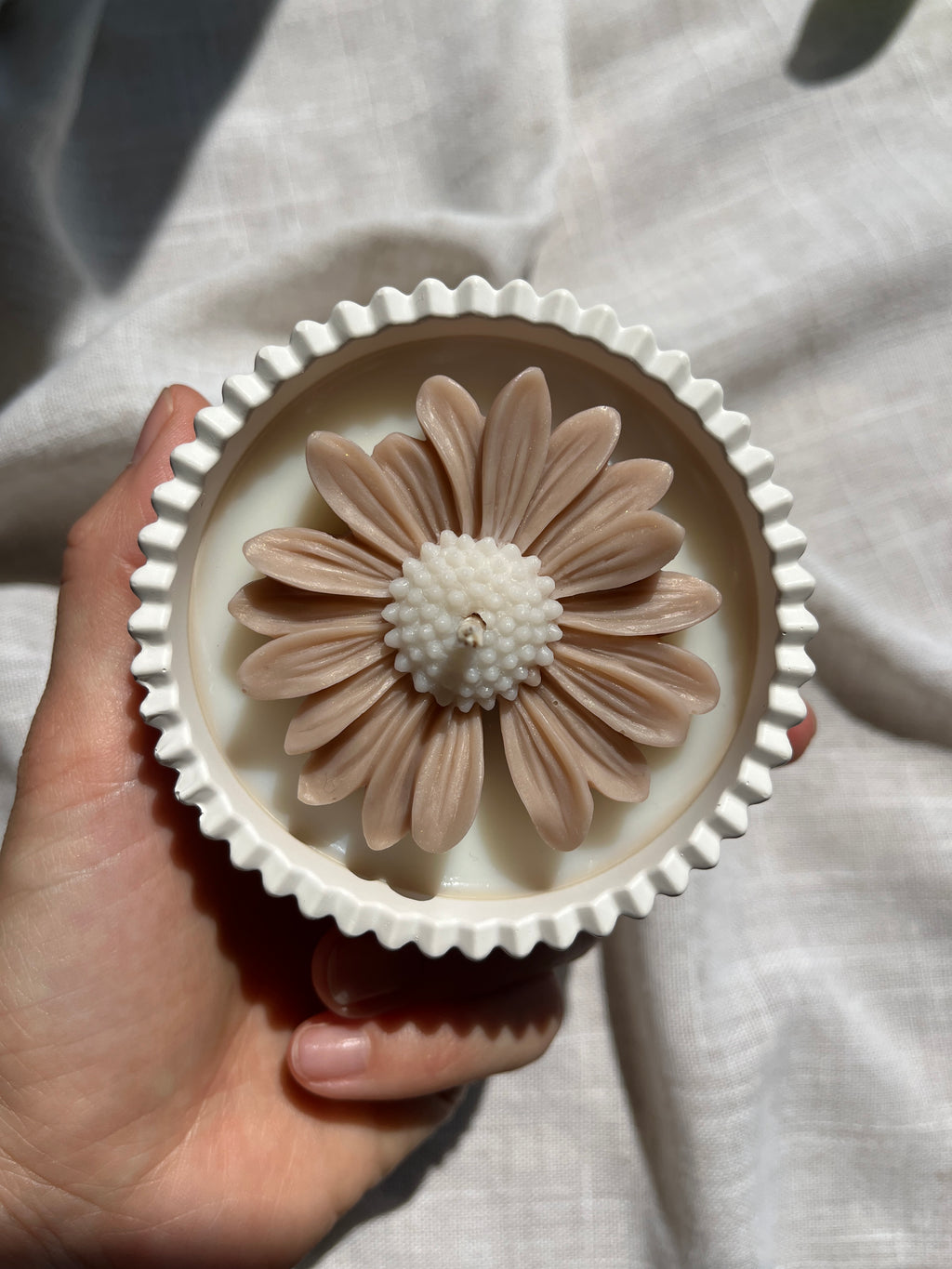 The Daisy ** PRE ORDER MARCH DELIVERY **